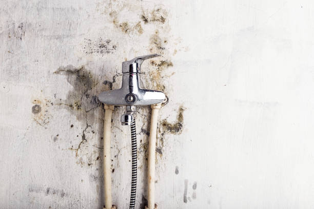 Best Water Damage Restoration  in North Tunica, MS