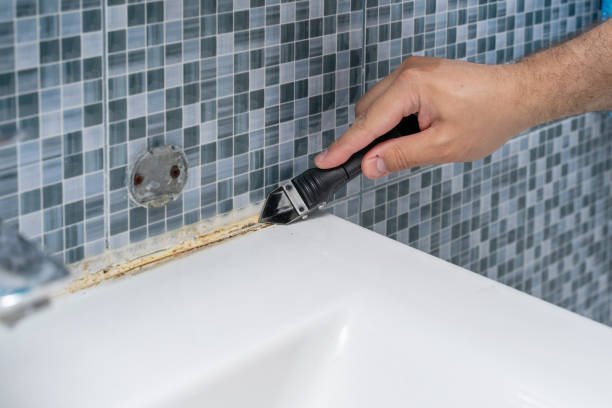 Office Mold Removal Services in North Tunica, MS